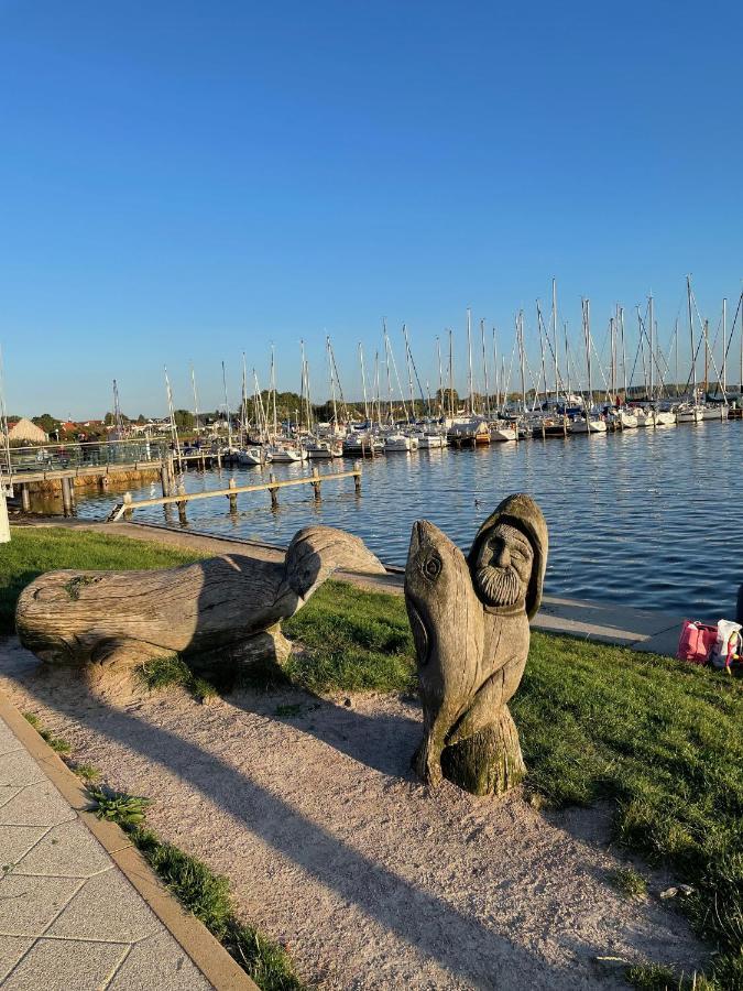 Top Ferienwohnung In Rerik - Nahe Salzhaff & Ostsee - Mit Gartenterrasse Exterior foto